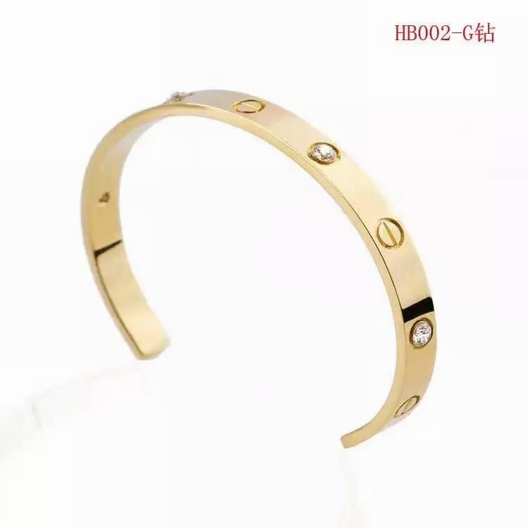 Cartier Bangles 24